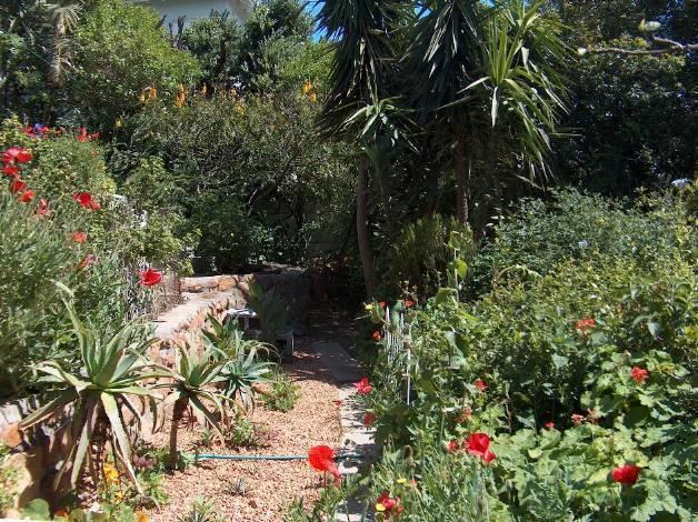 Rachel'S Home From Home Cape Town Exterior foto